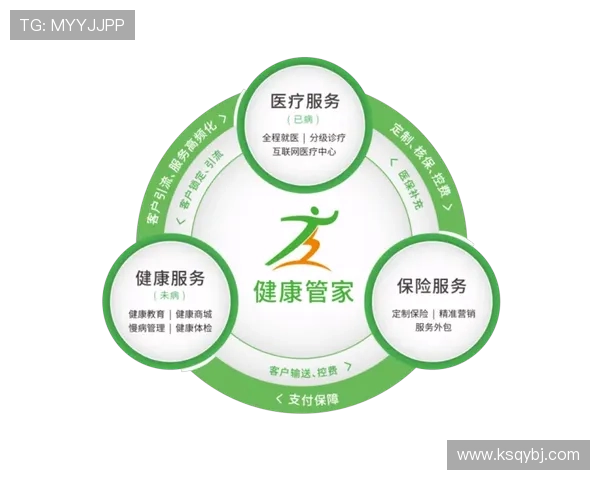 南京排球队的运营体系与战术创新探索之路 南京排球队的运营体系与战术创新探索之路
