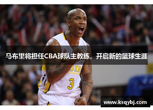 马布里将担任CBA球队主教练，开启新的篮球生涯